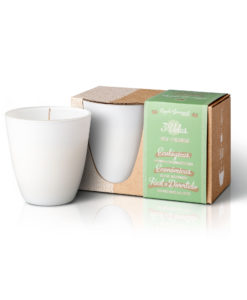 Apple Gourmet Candle + Refills Pack - Candle + Refill pack - Ecological Candles
