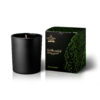 Black Matte Glass Fig Milk Candle - Ecological Candles - Mate glass
