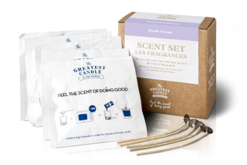 Hand Picked Blueberry Scented Wax for Candles - DIY Kit Candle Making - Scent Sets